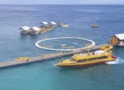 Dermaga Apung Modular: Solusi Cerdas untuk Bisnis Watersport